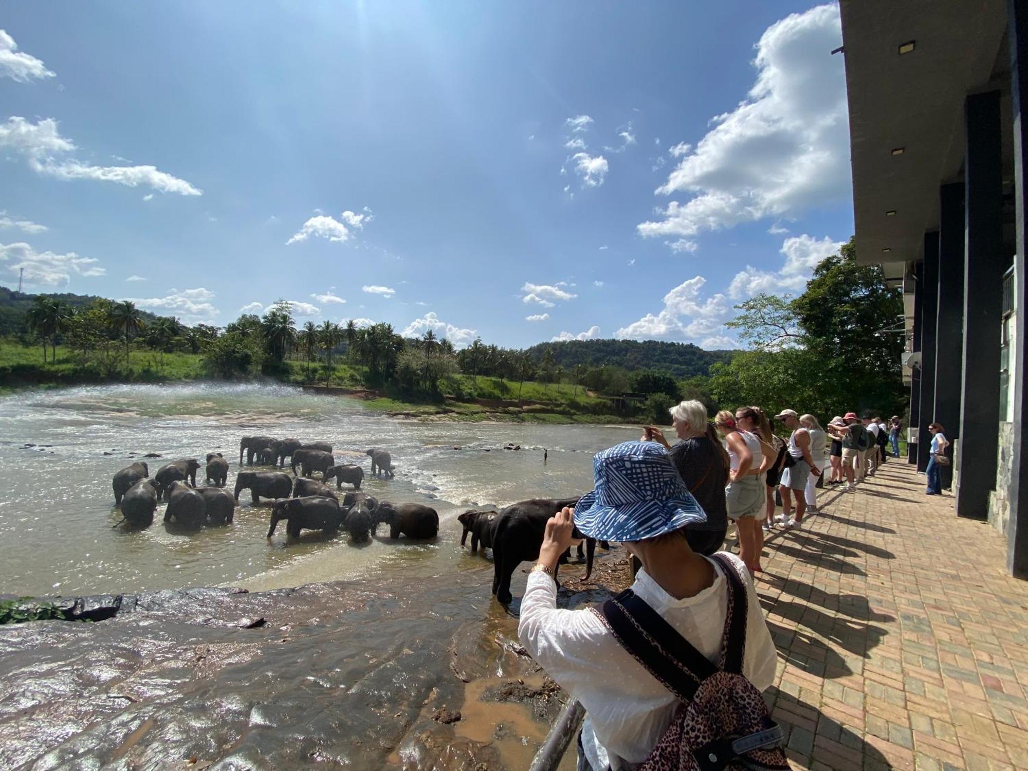 Sesatha Lake Kandy Zewnętrze zdjęcie