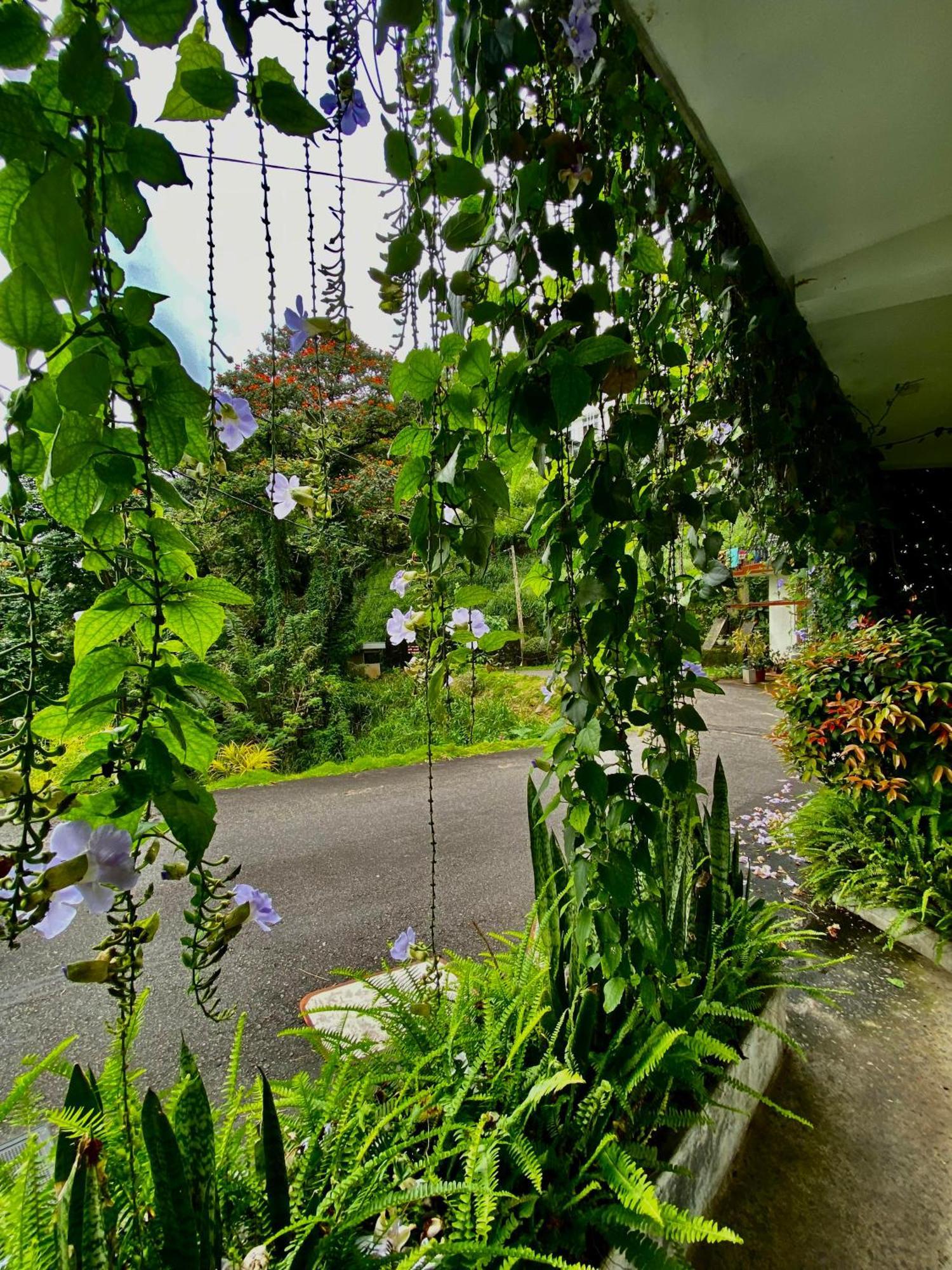 Sesatha Lake Kandy Zewnętrze zdjęcie